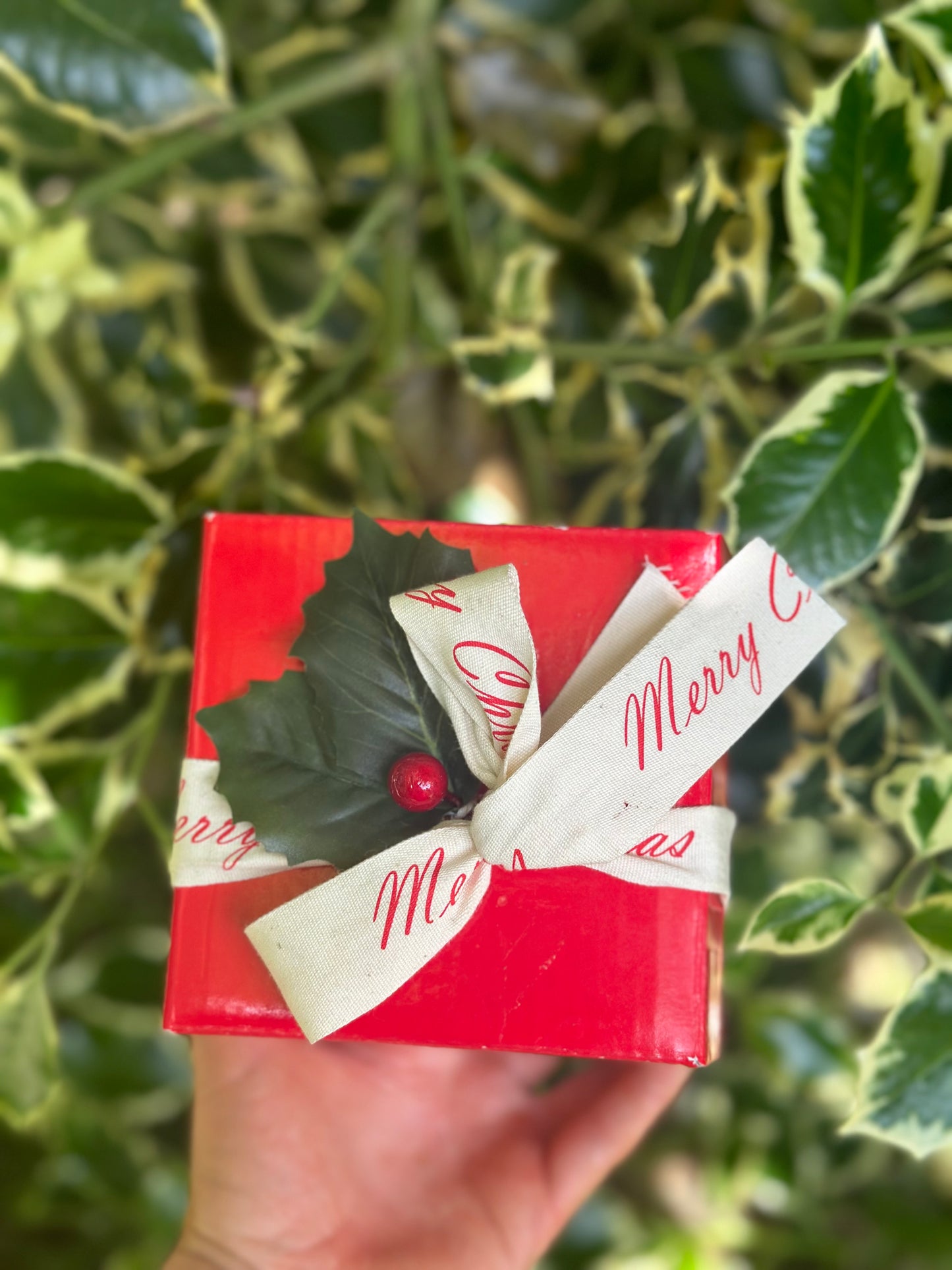 The Lion Mill - Christmas Vanilla Caramel Candle
